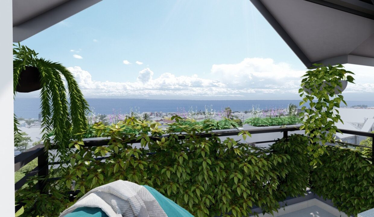 5381-VICTOR-PARK-CENTRE-VILLE-DE-SAINT-PIERRE-vue-mer-283-29