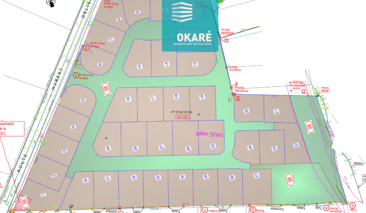 10779-LOTISSEMENT-LES-POIVRIERS-4