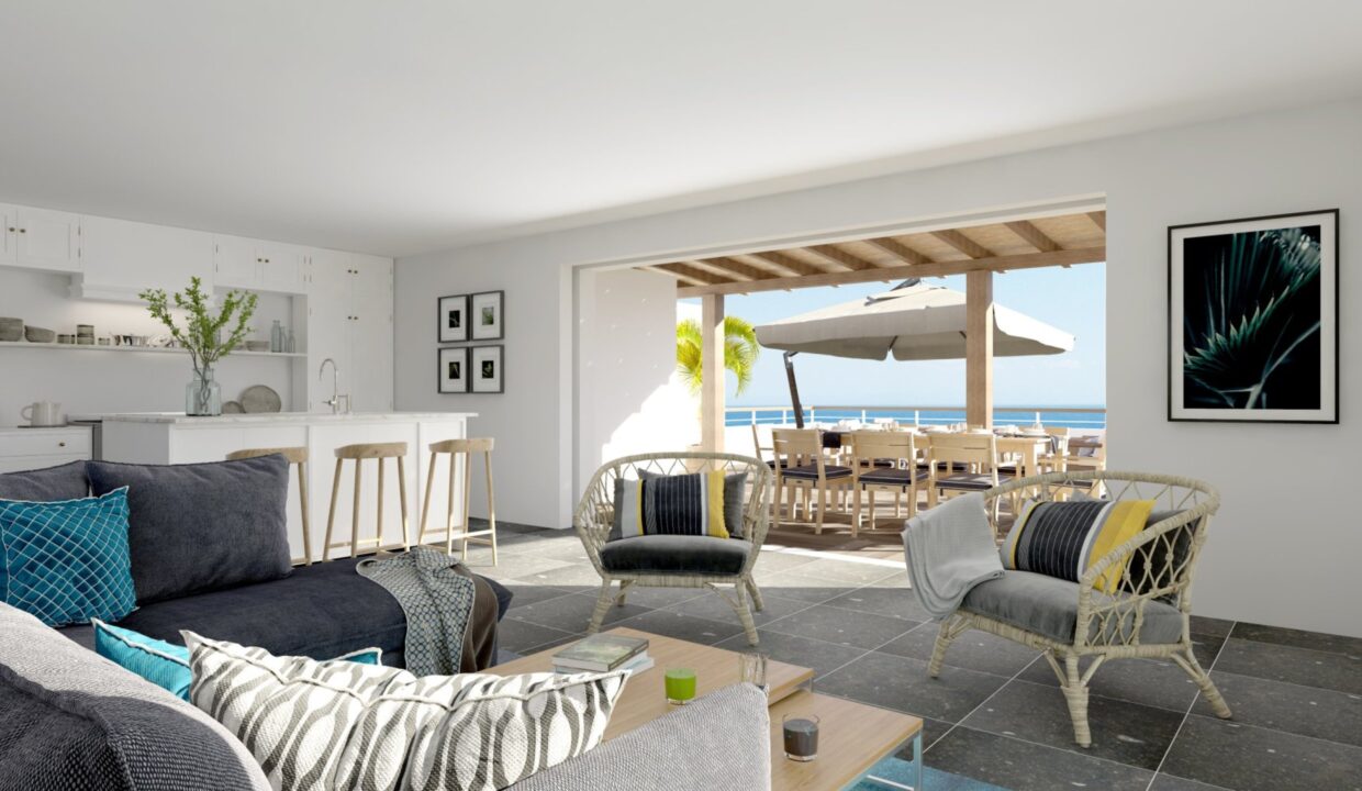 11223-SUMMERILE_3D_INTERIEUR02