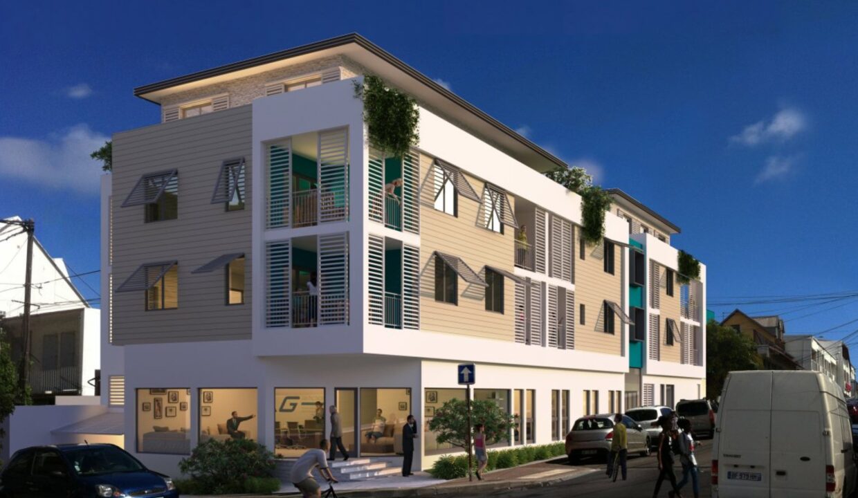 7610-DUNE-MARINE-CENTRE-VILLE-DE-SAINT-PIERRE-OKAR-C3-89-IMMOBILIER-281-29