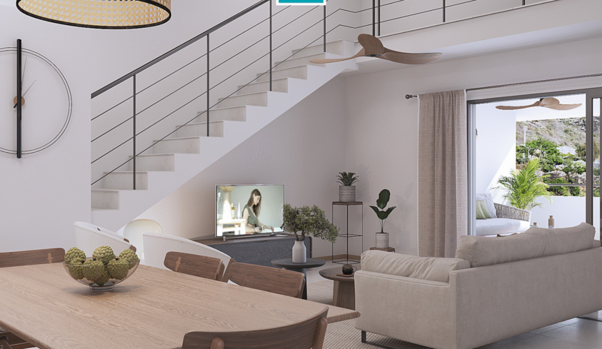 9321-COLIBIRI-DES-MOLIERES-2