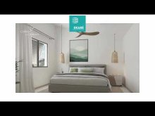 COLIBRI DES MOLIERES